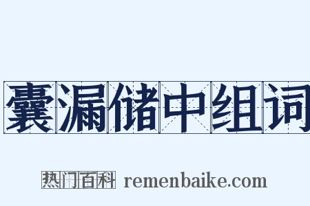 囊漏储中组词是什么意思的图片